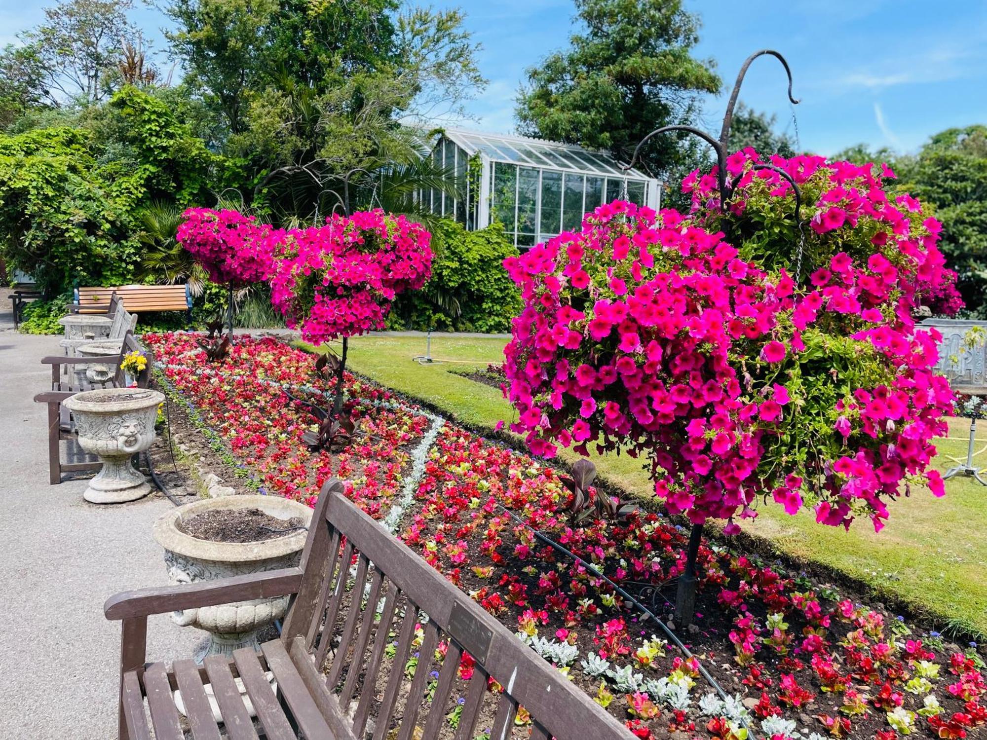 Modernised In The Heart Of Sketty Holiday home